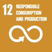 Responsible Consumption and Production Icon