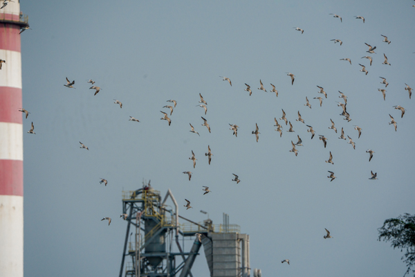 Southern Power Generation (SPG)