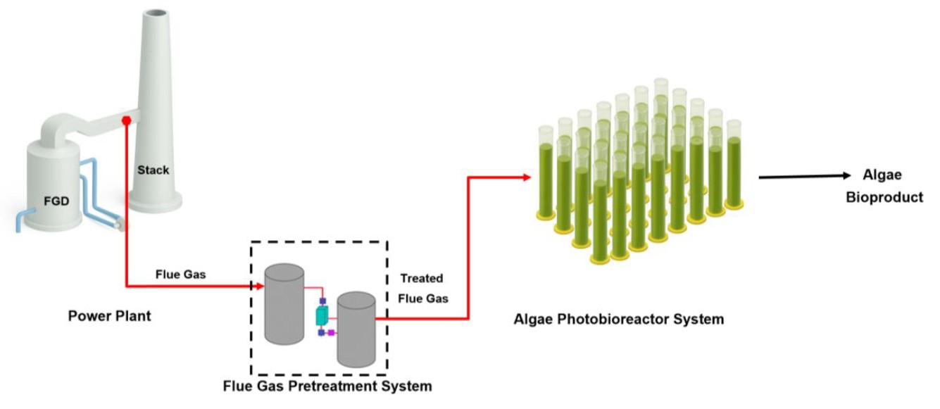Conceptual Diagram Project Chlorobloom
