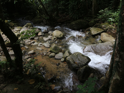 Gemersek Pangsun Images