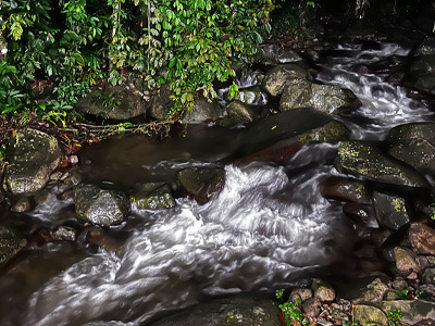 Gemersek Pangsun Images