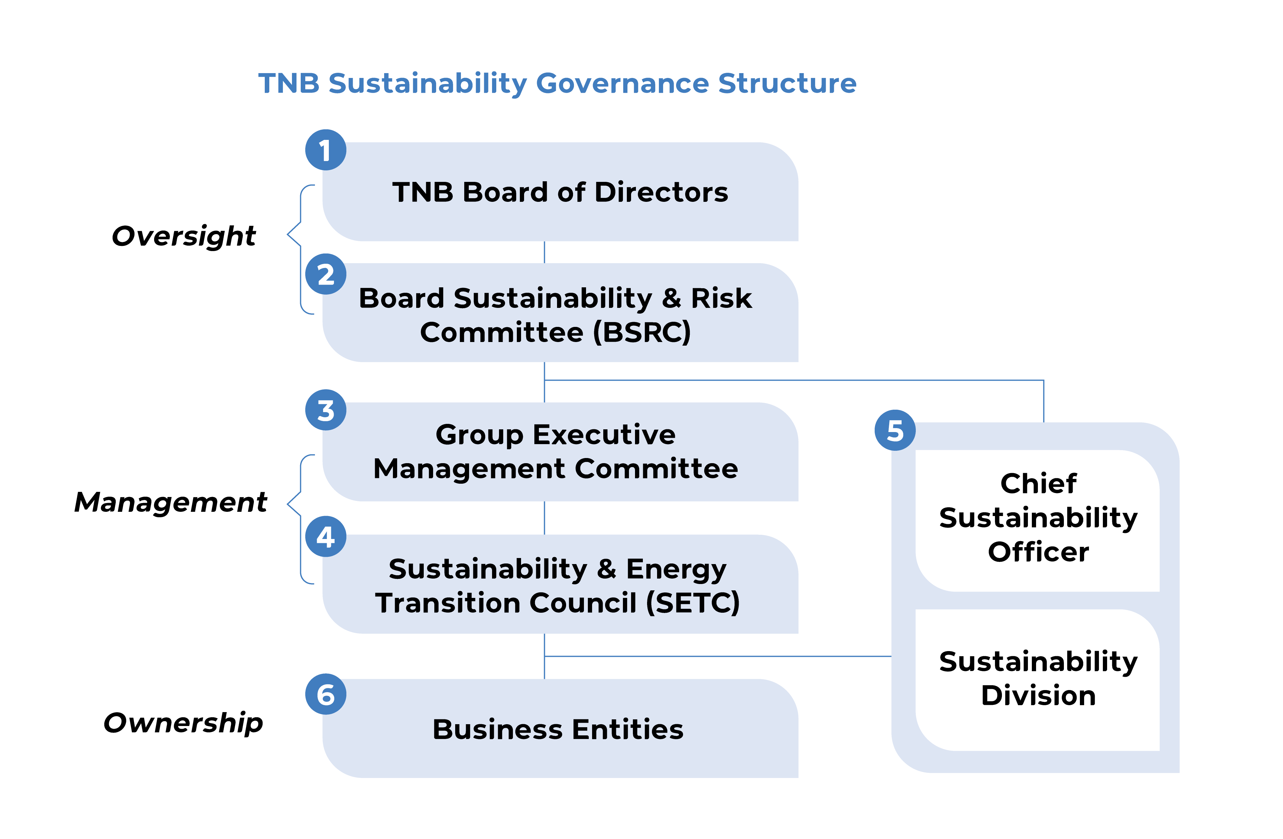 TNB Sustainability Governance Structure