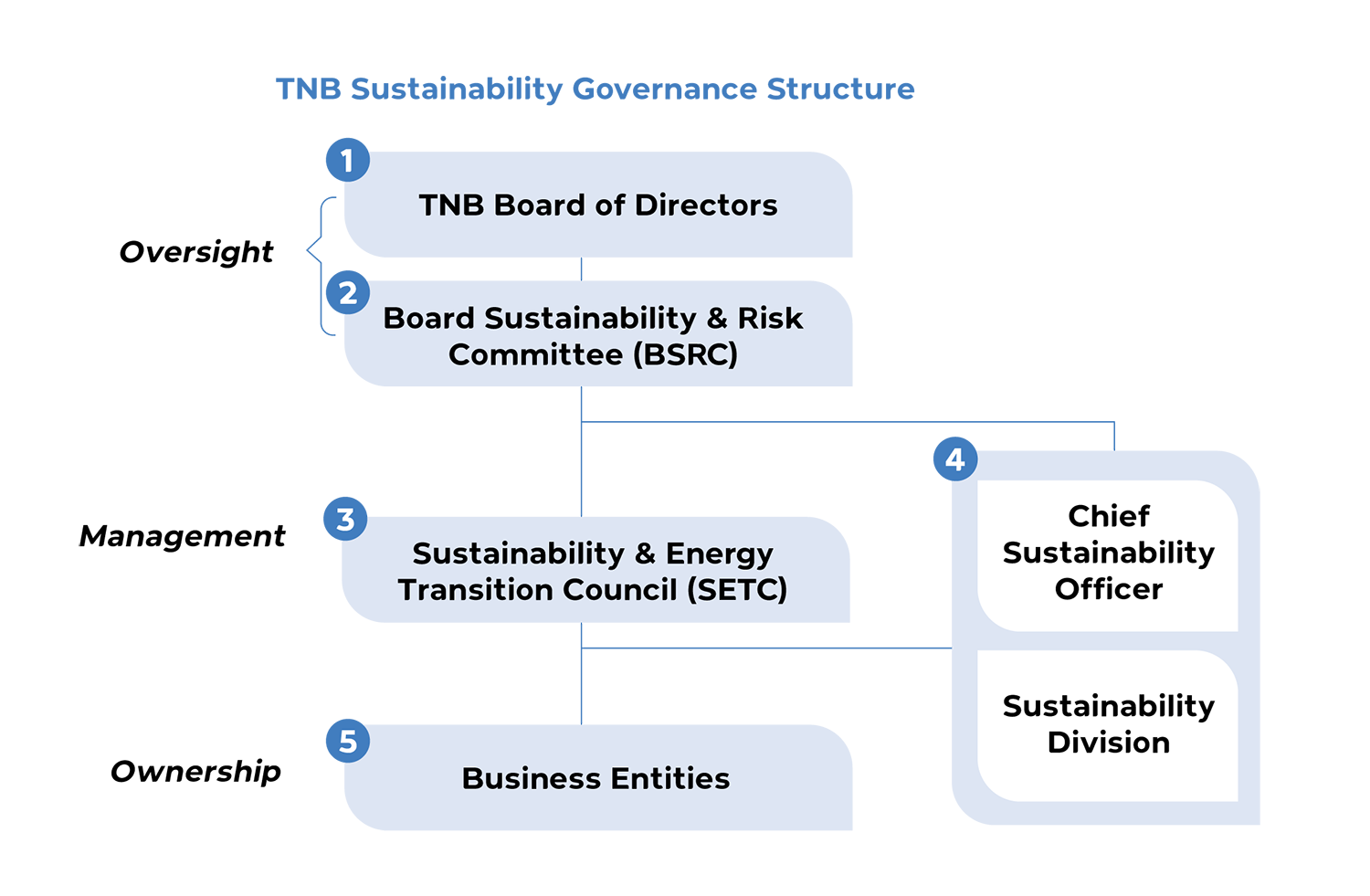 TNB Sustainability Governance Structure