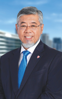 portrait of TNB chief regulatory and stakeholder management datuk ir shamsul ahmad